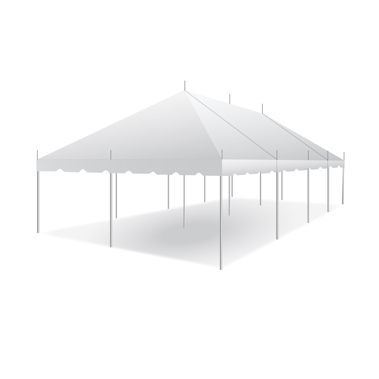 20 x 40 Pole Tent